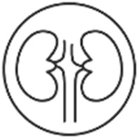 Urologiya
