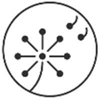Allergologiya və immunologiya